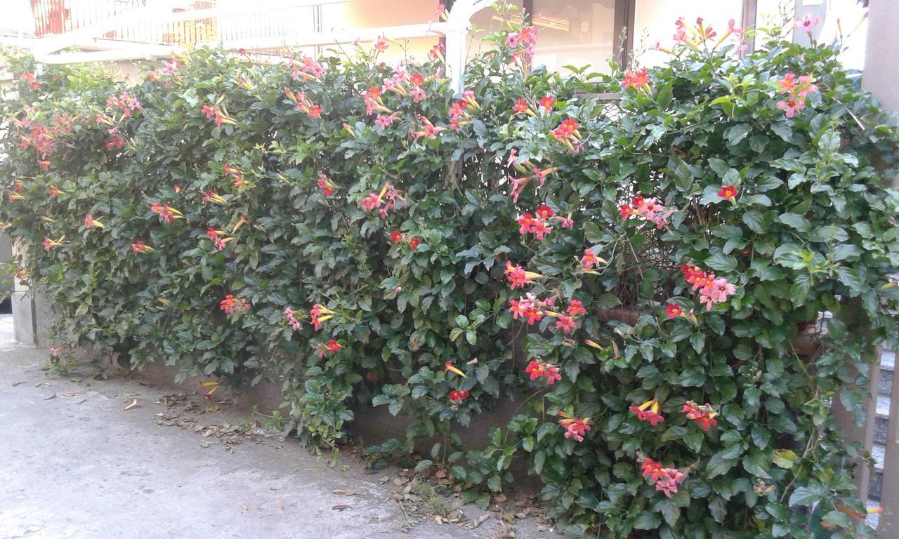 Bed and Breakfast Eurelios Adrano Esterno foto